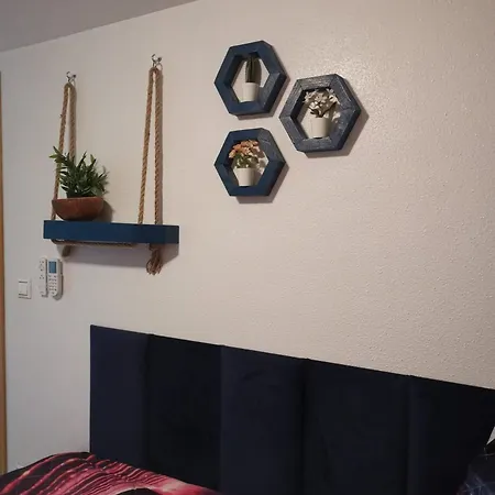 Coco S Locos 1st Coastline * Torrevieja