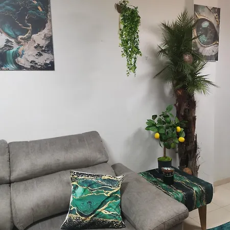 Coco S Locos 1st Coastline *