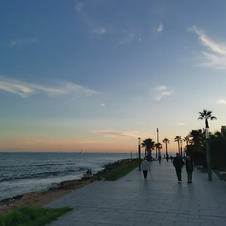 Coco S Locos 1st Coastline Torrevieja