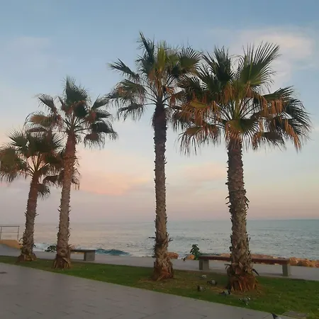 Coco S Locos 1st Coastline *