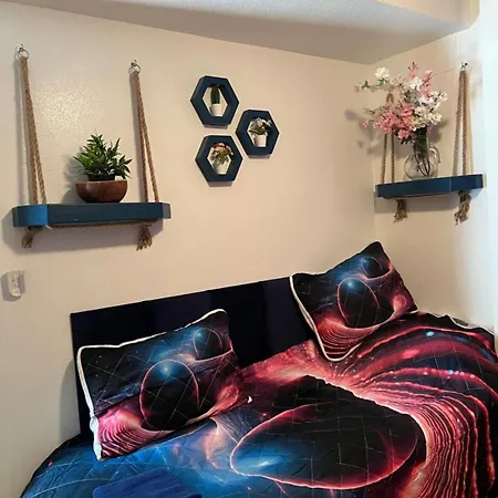 Coco S Locos 1st Coastline