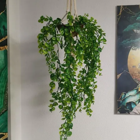 Coco S Locos 1st Coastline