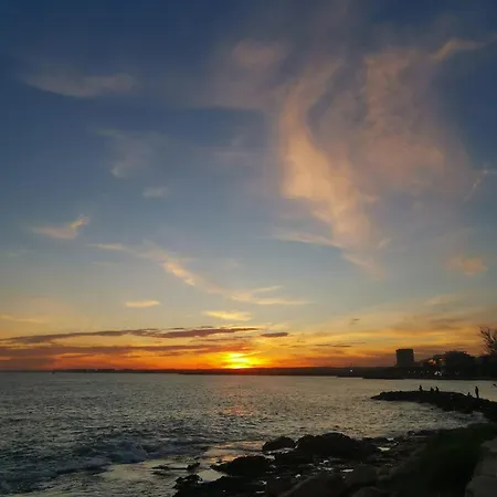 Coco S Locos 1st Coastline