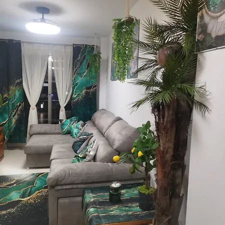 Coco S Locos 1st Coastline Torrevieja