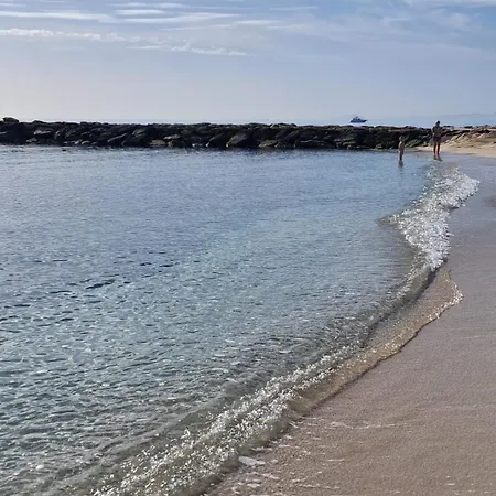 Coco S Locos 1st Coastline