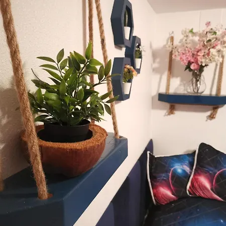 Coco S Locos 1st Coastline Torrevieja