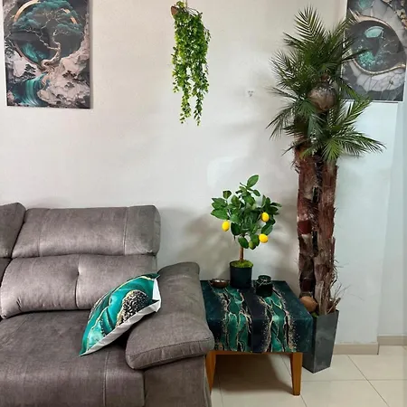 Apartment Coco S Locos 1st Coastline