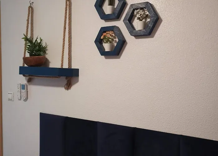 Coco S Locos 1st Coastline * Torrevieja