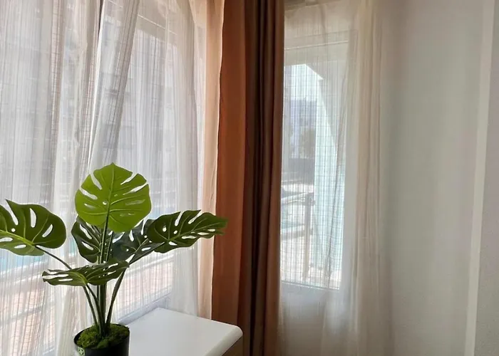 Lejlighed Coco S Locos 1st Coastline