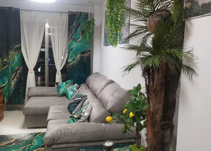 Coco S Locos 1st Coastline Torrevieja