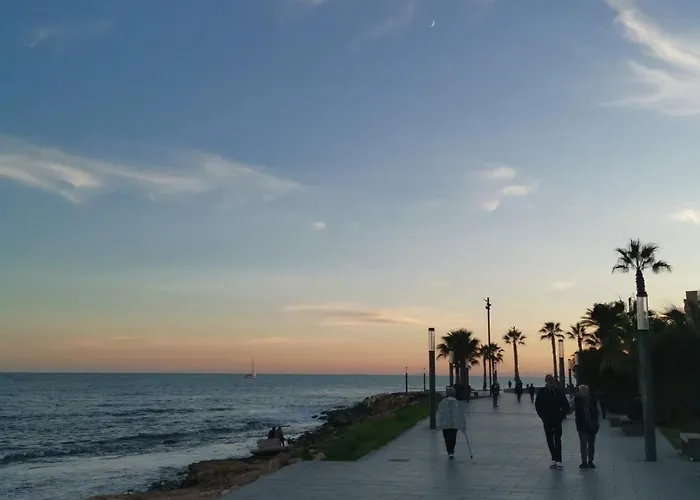 Coco S Locos 1st Coastline Torrevieja