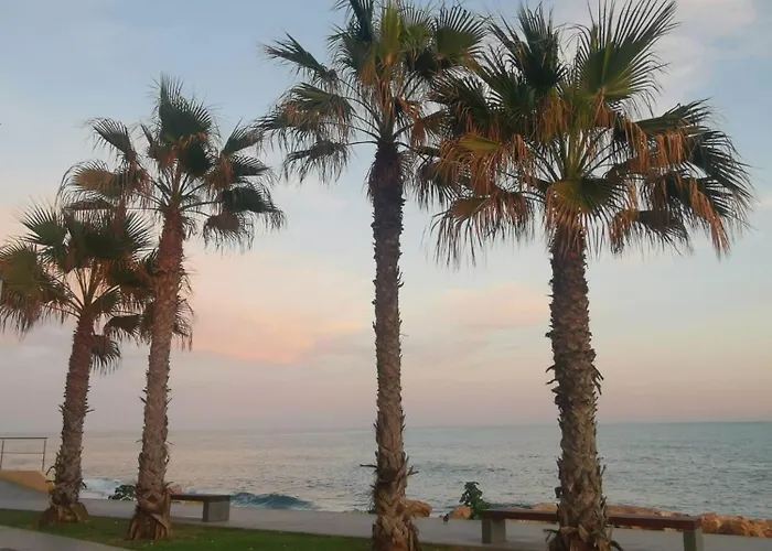 Coco S Locos 1st Coastline *