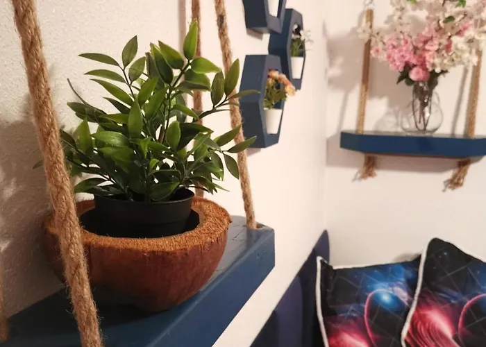 Coco S Locos 1st Coastline Torrevieja