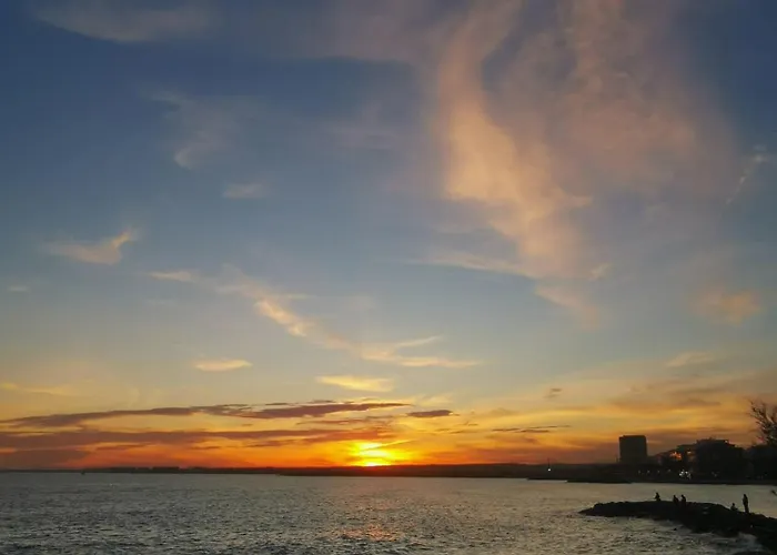 Coco S Locos 1st Coastline